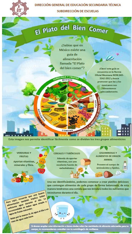 el plato del bien comer