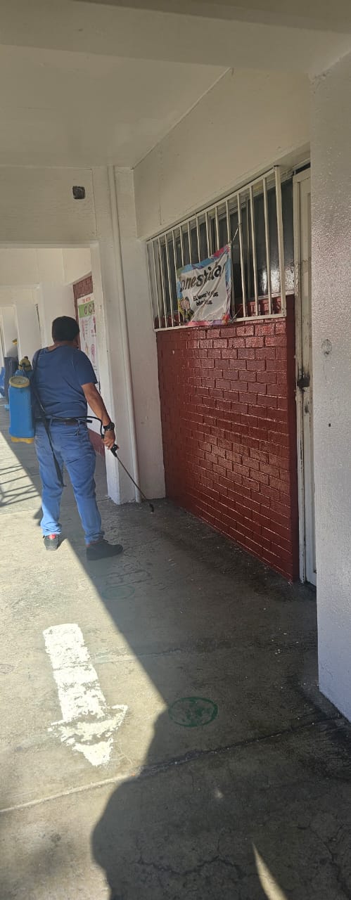 whatsapp image 2024 11 09 at 11.14.34 am