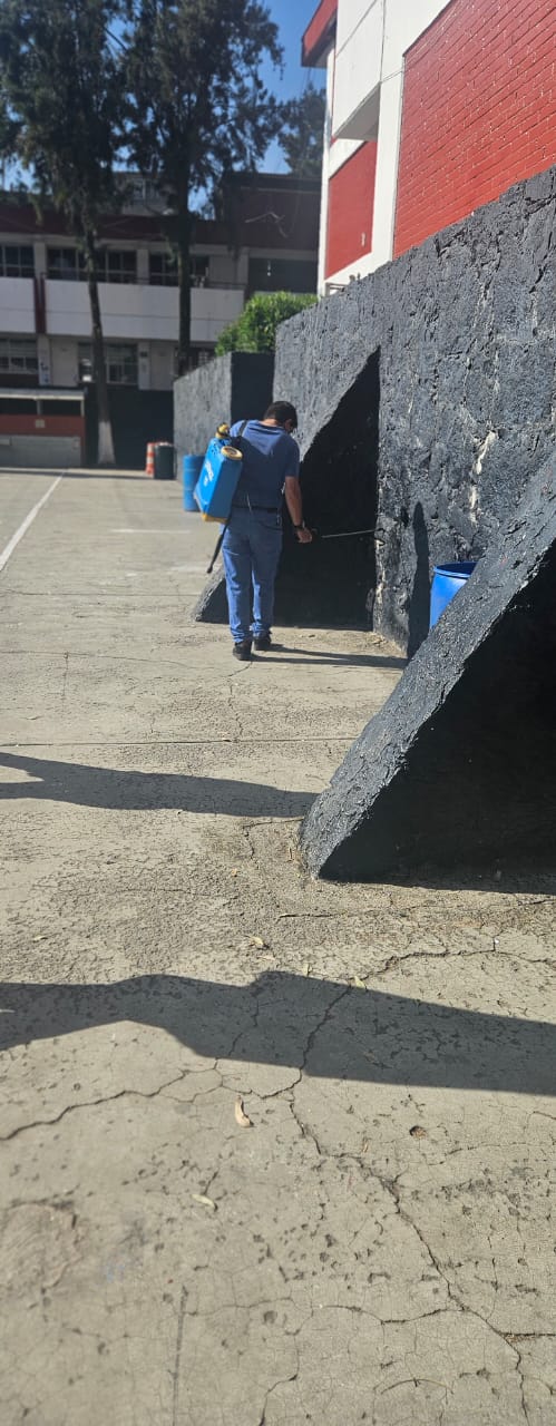 whatsapp image 2024 11 09 at 11.14.37 am (1)