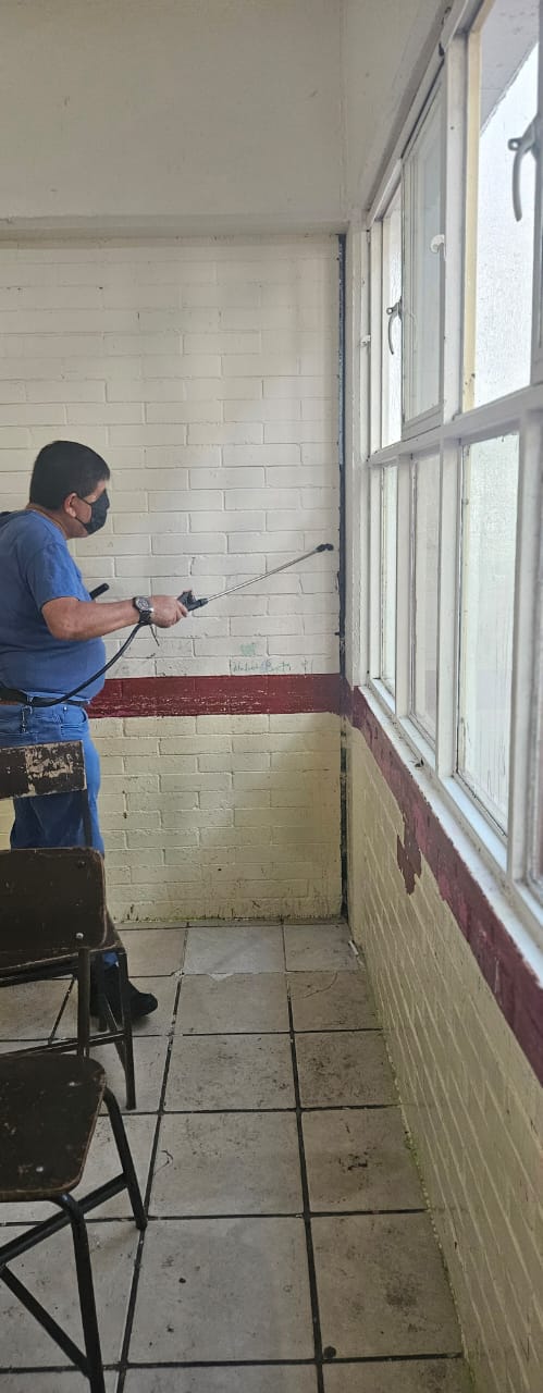 whatsapp image 2024 11 09 at 11.14.38 am 4