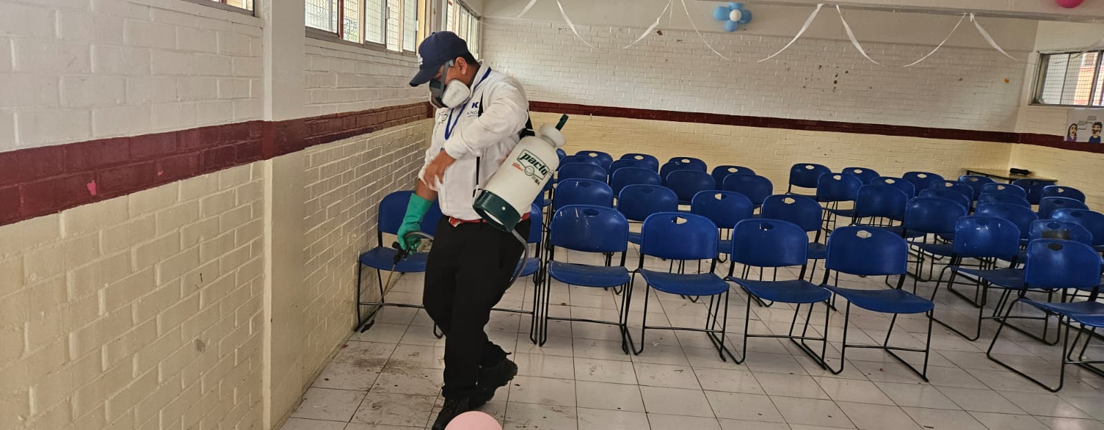 whatsapp image 2025 05 10 at 10.56.30 am